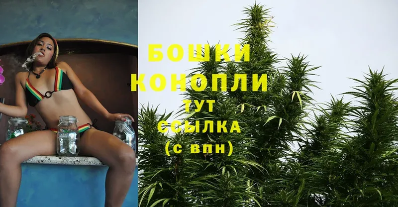 где купить наркоту  Каменск-Шахтинский  Каннабис SATIVA & INDICA 